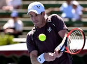 开云-关于穆雷回归赛场，大胜首场状态亮眼，雄鹿观众沸腾！的信息