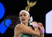 开云-科维托娃在中国队比赛中挺进下一轮，关键助攻引发热议！的简单介绍