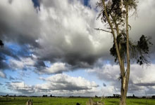 开云体育-关于达拉斯独行侠迎中超关键赛；今晚扳平良机；管理层满意；细节决定成败的信息